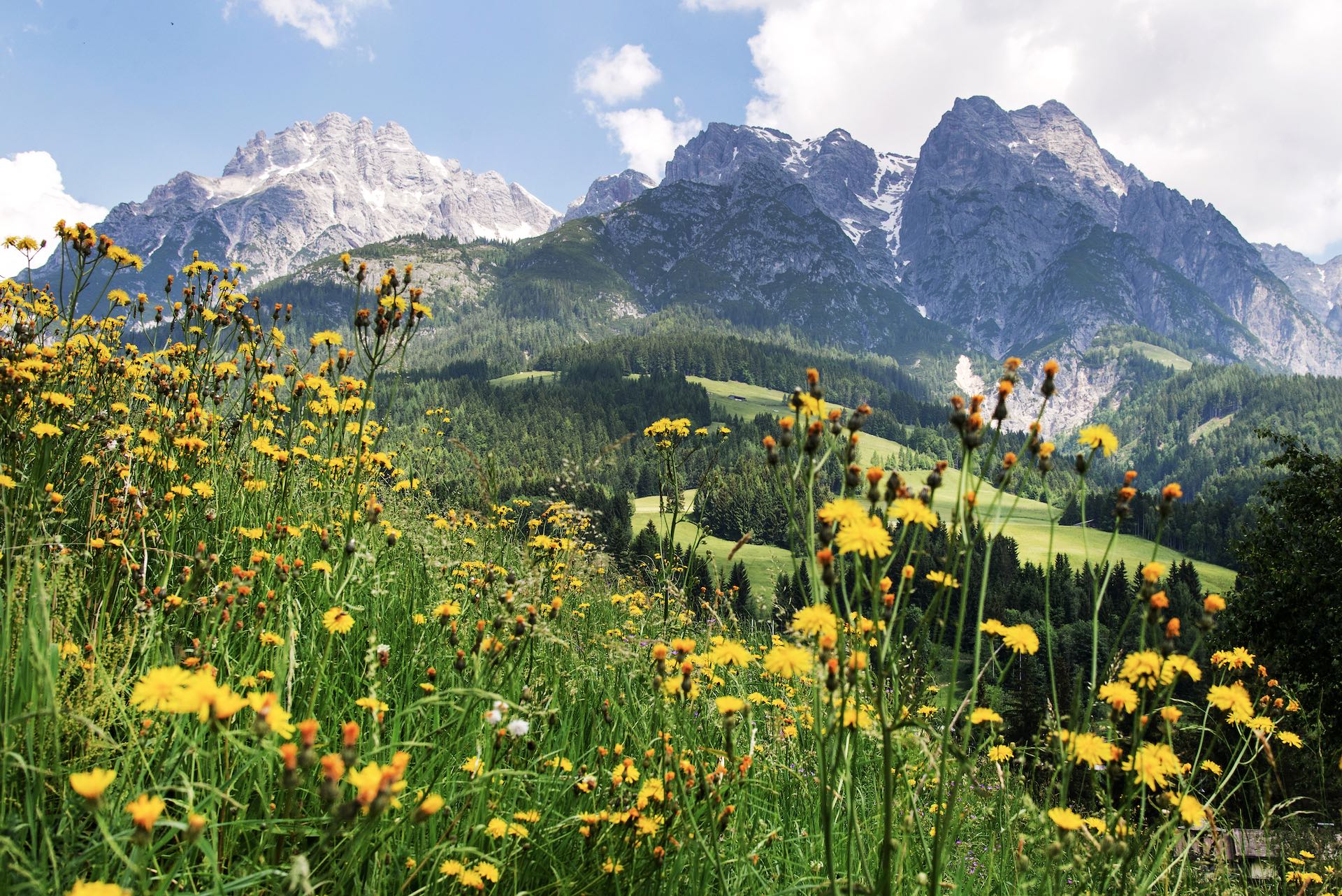 Leogang